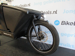 Urban Arrow Family Cargo Line Bes 2 Doggy 2024 - Bikedeals