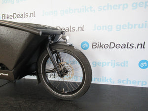 Urban Arrow Family Cargo Line Bes 2 Doggy 2025 - Bikedeals